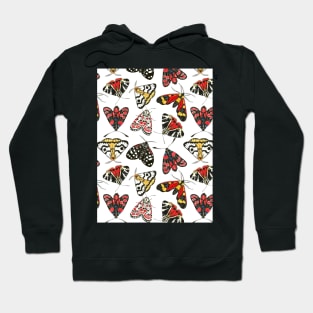 Moths Hoodie